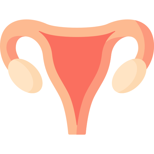 Uterus free icon