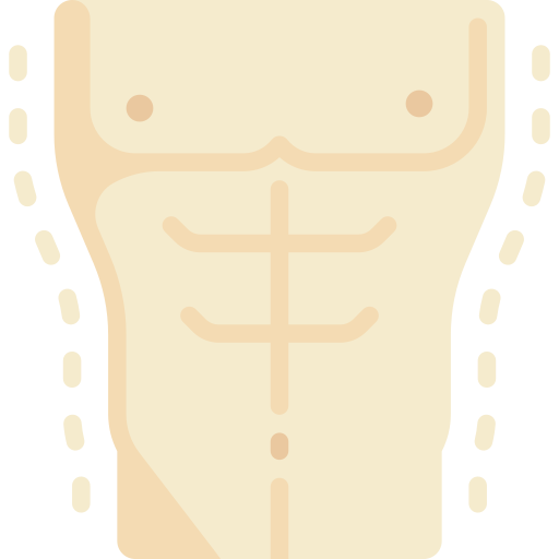 torso icono gratis