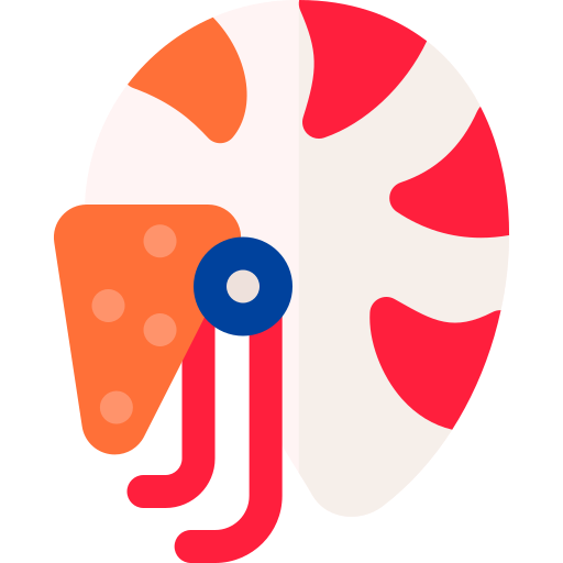 nautilo icono gratis