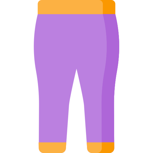 Leggings Special Flat icon