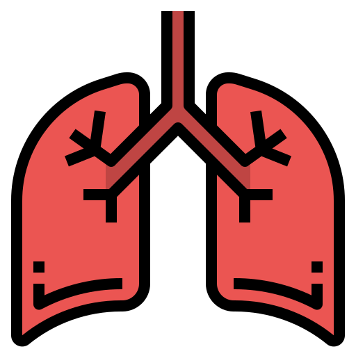 Lungs Generic Outline Color icon