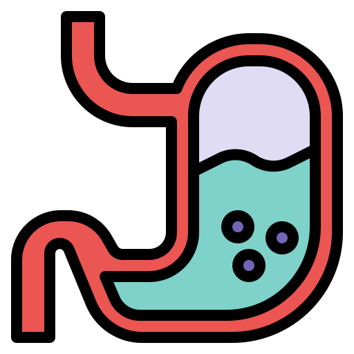 Stomach Generic Outline Color icon