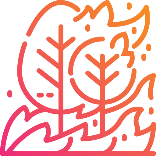 Wildfire free icon