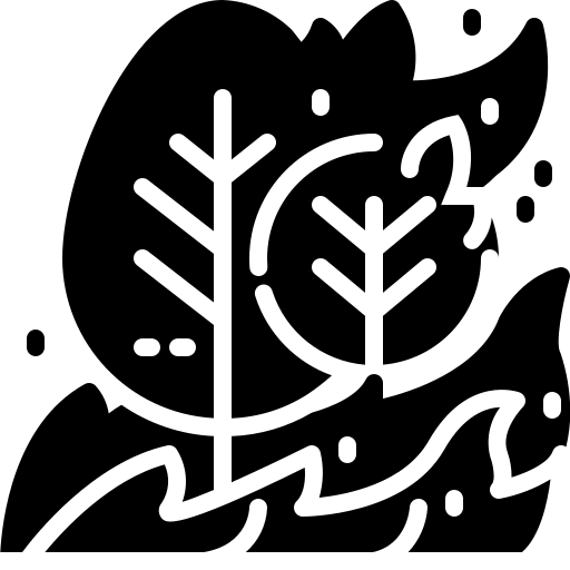 Wildfire free icon