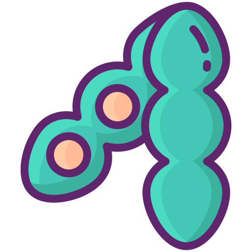 Soyabean free icon Soyabean free icon