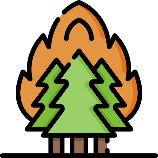 Fire Special Lineal color icon