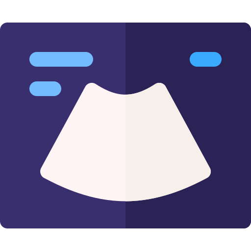 Ultrasound Basic Rounded Flat Icon