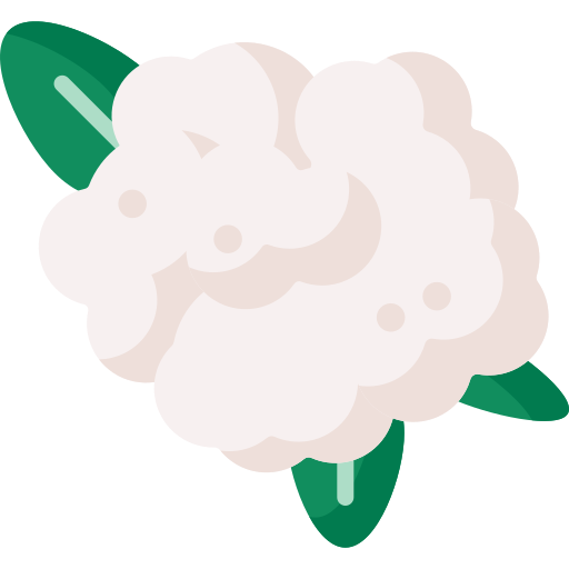 coliflor icono gratis