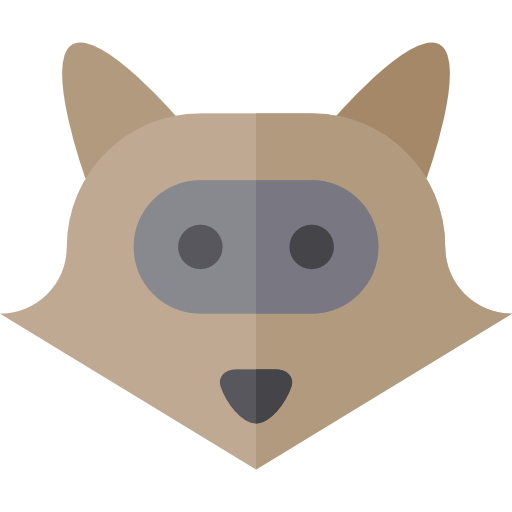 Racoon Basic Straight Flat icon