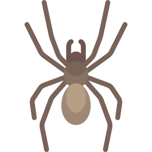 aranha grátis ícone aranha grátis ícone
