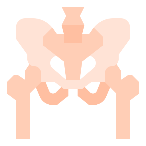 pelvis icono gratis