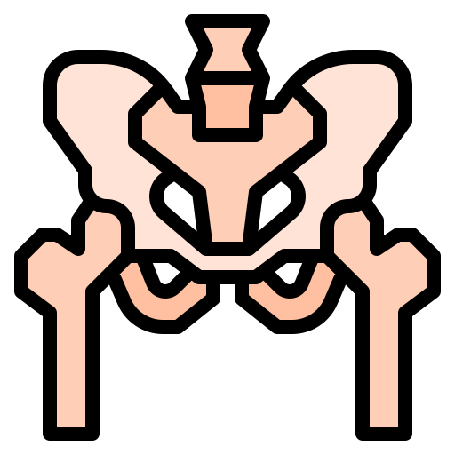 pelvis icono gratis