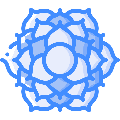 Crown Basic Miscellany Blue icon