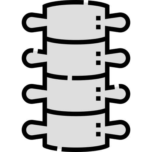 colonne vertébrale Icône gratuit