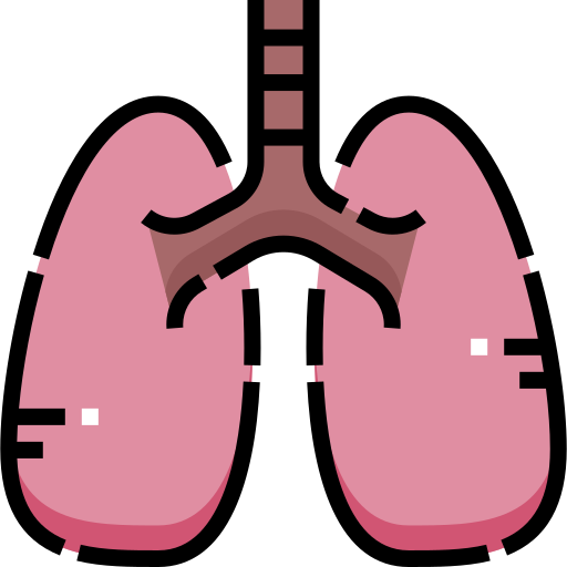 Lungs Detailed Straight Lineal color icon