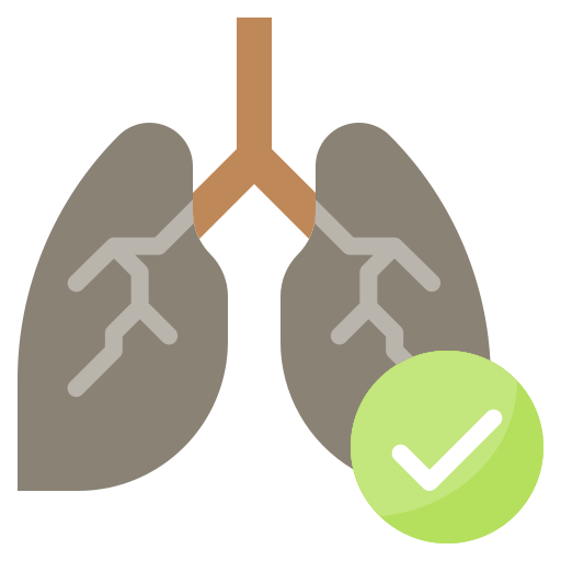 Lungs Generic Flat icon