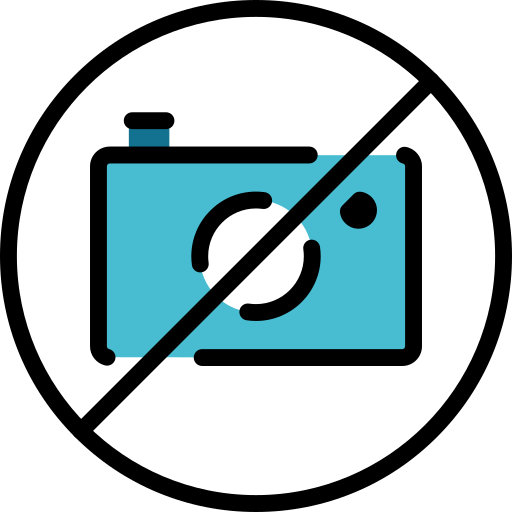 Photograph Special Lineal color icon