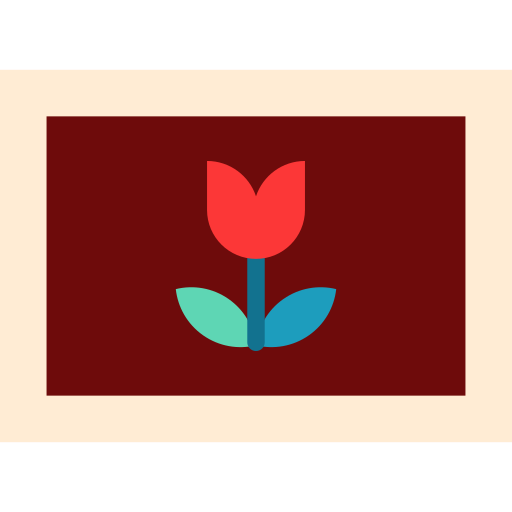 fotografía icono gratis