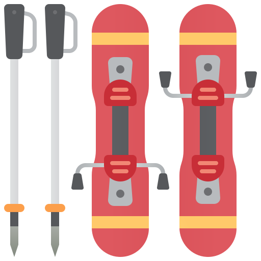 Skiing Amethys Design Flat icon