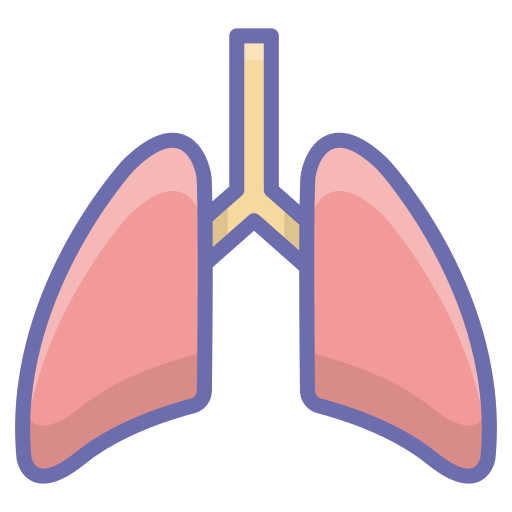 Lungs Generic Outline Color Icon