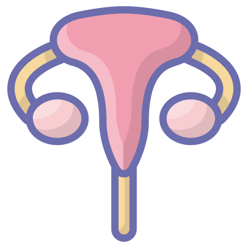 uterus kostenlos Icon uterus kostenlos Icon