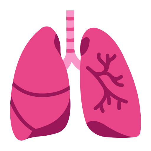 Lung MaxIcons Flat icon