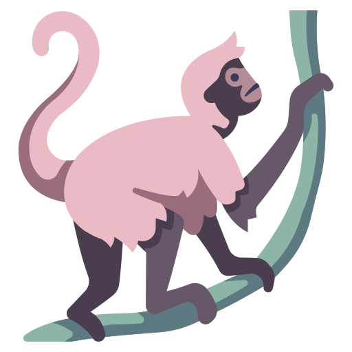 Macaco-aranha png