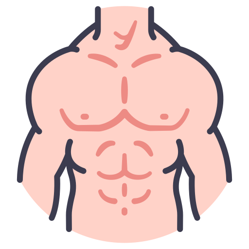 Abs, bady, body, chest, fitness, muscles, part icon - Download on Iconfinder