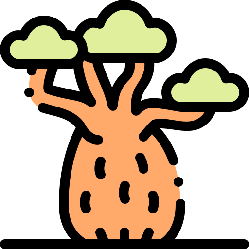 baobab icono gratis