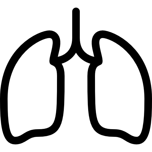 Lungs free icon