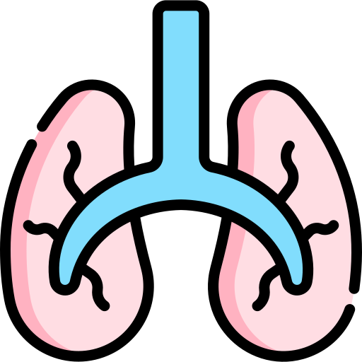 Lungs Kawaii Lineal color icon