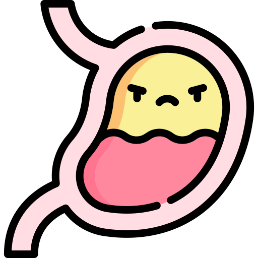 bauch kostenlos Icon bauch kostenlos Icon