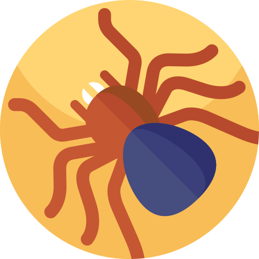 tarántula icono gratis