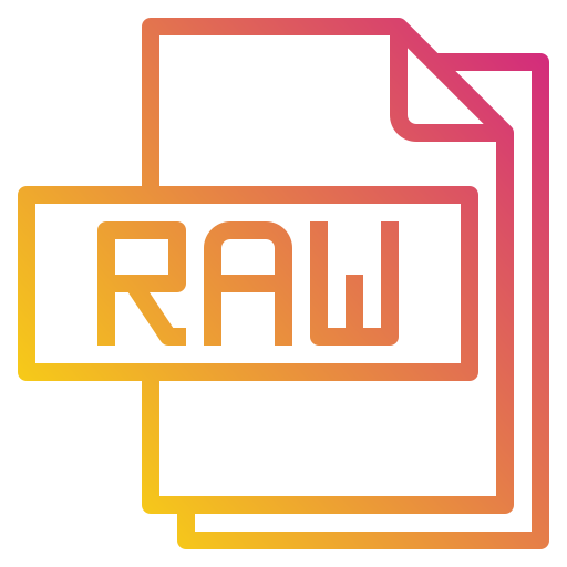 archivo raw icono gratis