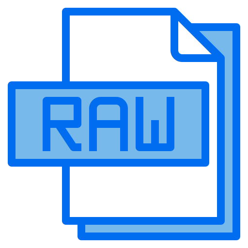 archivo raw icono gratis