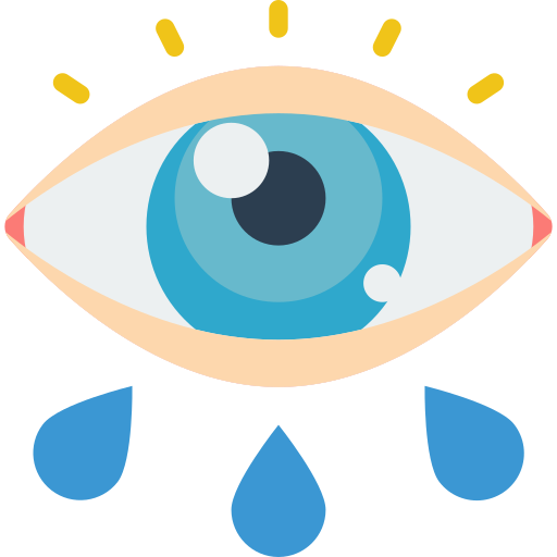 Eye Basic Miscellany Flat icon