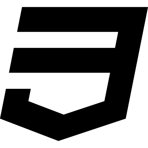 css3 logo