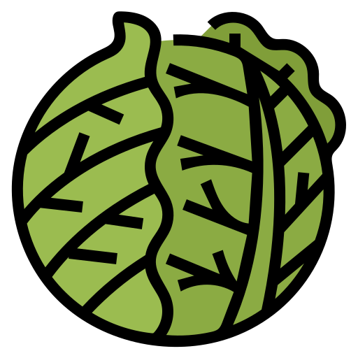 Cabbage free icon