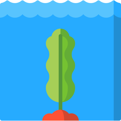 algue Icône gratuit