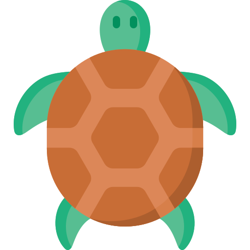 Turtle Special Flat icon