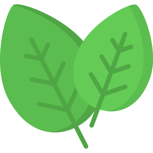 Spinach free icon