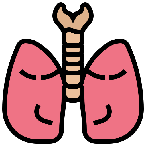 Lung Meticulous Lineal Color icon