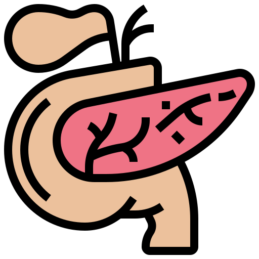 Pancreas free icon Pancreas free icon