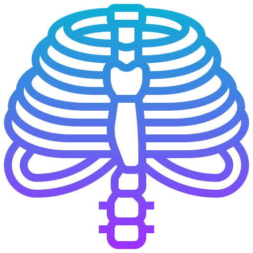 Thorax - Free medical icons