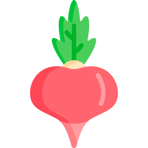 Radish Special Flat icon