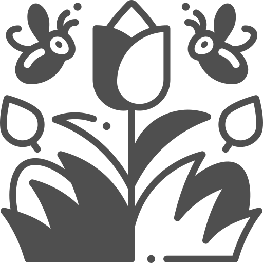 Tulip free icon Tulip free icon