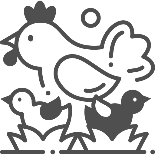 Chicken free icon Chicken free icon