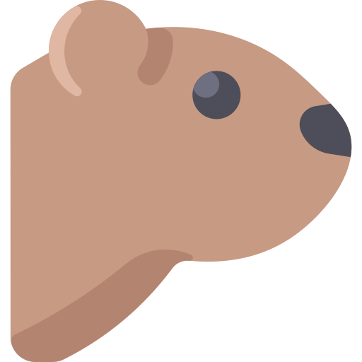 marmota icono gratis