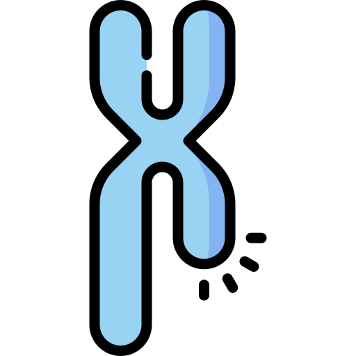 Chromosome Special Lineal Color Icon