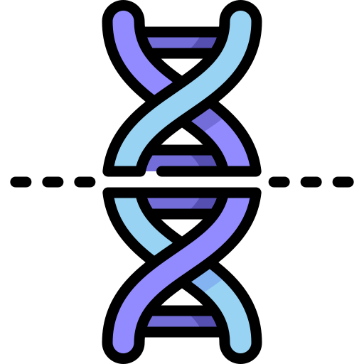 Dna Special Lineal Color Icon